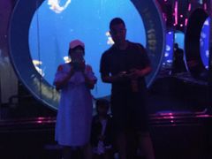 -成都浩海立方海洋公园