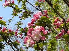 -元大都城垣遗址公园