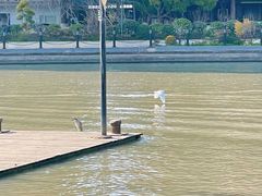 -苏州河梦清园环保主题公园