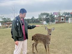 -盈香心动乐园