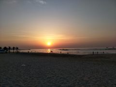 -日照海滨国家森林公园
