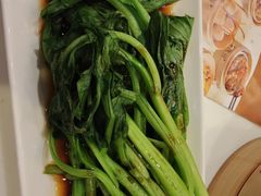 -金鼎轩(方庄天坛店)