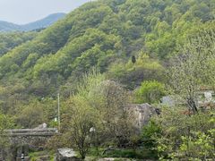 -终南山国家森林公园