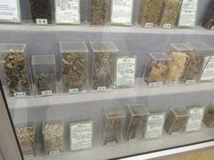 -北京中医药大学-中医药博物馆