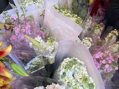 -越秀西湖花市(广州城市广场花卉店)