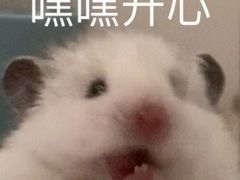 -米鲜剁椒米线(梅溪湖店)