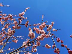 -蜀冈西峰生态公园