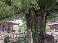 -医王山·飞騨国分寺