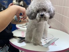 -FAELING PETS美天灵宠物(富力广场店)
