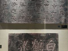 -白鹤梁水下博物馆