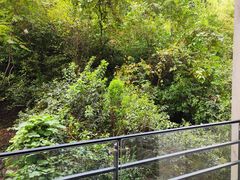-天目湖涵田度假村