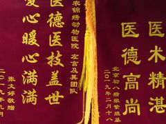 -喜多萌中农锦绣动物医院24H·猫科·牙科MRI·CT