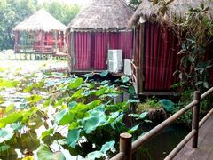 android_upload_pic-茂德公草堂