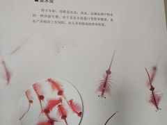 -盐池神庙