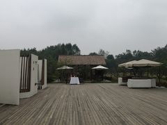 -桤木河湿地公园