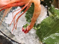 刺身拼盘-吉之仙•中国制造•出口级食材日料店(领事馆总店)