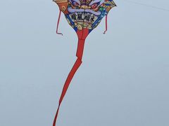 -南海子公园