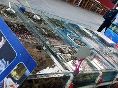 -87号烧烤海鲜·大排档(金沙滩店)