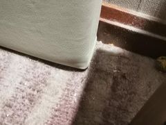 -上海如意智慧酒店(上海科学院店)