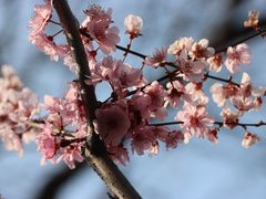 -静安雕塑公园