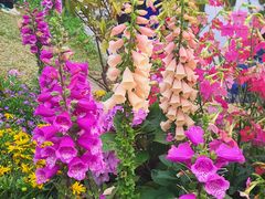 -人民公园(罗湖区)