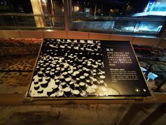 -元代水闸遗址博物馆