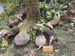 -陕西自然博物馆