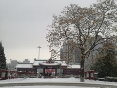 -莲花池公园