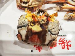 -杨氏青龙虾·羊蝎子(珠江路店)