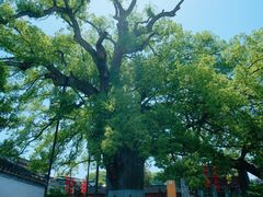-新安江山水画廊风景区