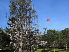 -中共上海市委党校 上海行政学院