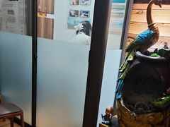 -竹雀古法采耳(青岛麦凯乐店)