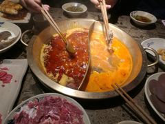 鸳鸯锅-小龙坎老火锅(鹤伴一路店)