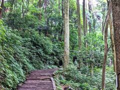 -青城山