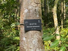 -深圳仙湖植物园