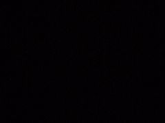 -四海游龙(紫竹店)