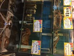 iphone_upload_pic-蚝专家(北滘店)