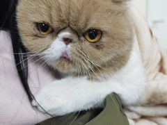 -美联众合动物医院·24h京西诊疗中心