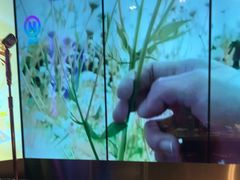 -温莎KTV(国贸店)
