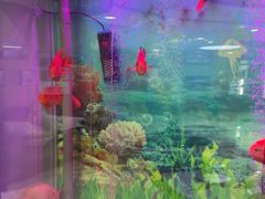 -雅悦齿科(顾村公园店)