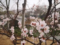 -大兴滨河森林公园