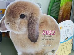 -爱侣宠医·鹦鹉专科·小型哺乳类·异宠专科(灵石路店)