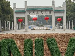 -武汉大学-樱园