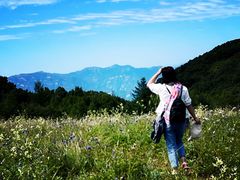 -白草畔自然风景区