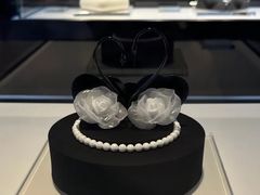 -BLACKSWAN黑天鹅(环球店)