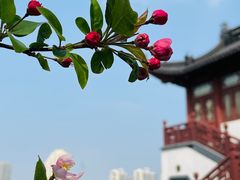 -莫愁湖公园