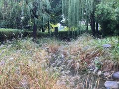 景点-苏州河梦清园环保主题公园