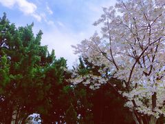-棒棰岛宾馆景区