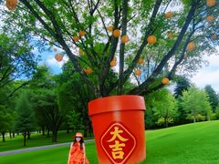 -云溪植物园