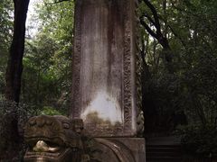 -灵谷景区